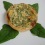 quiche espinafre e queijo